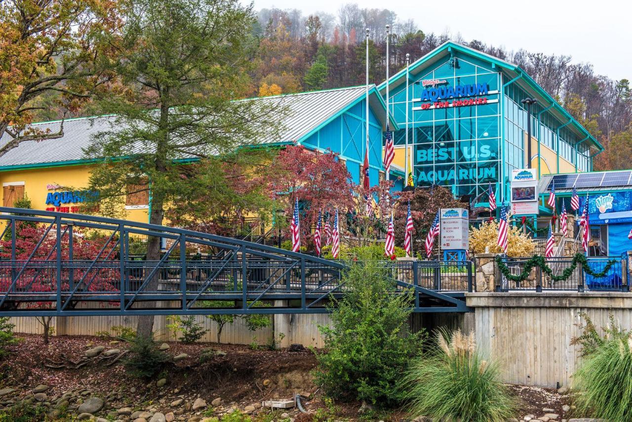 Lazy Cub Lodge Pigeon Forge Exterior photo